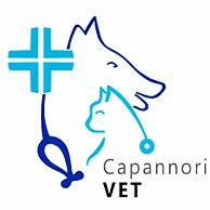 CAPANNORI VET - DR. LUCA CASSIANI